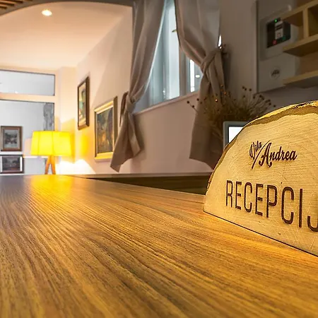 Vila Andrea Motel 3*