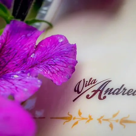 Мотель Vila Andrea