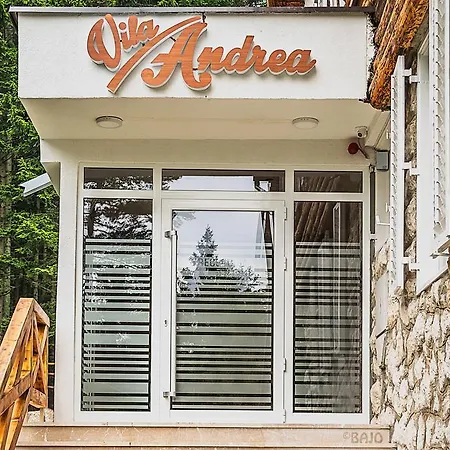 Vila Andrea Мотель